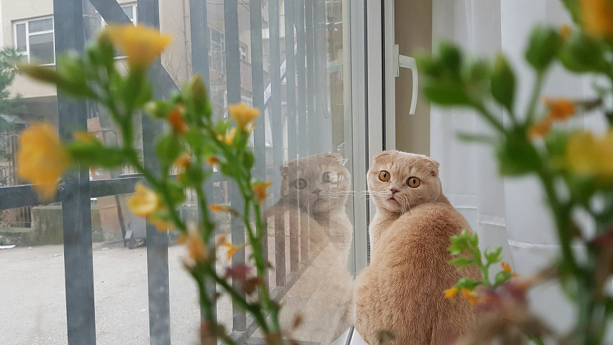 메인2사진