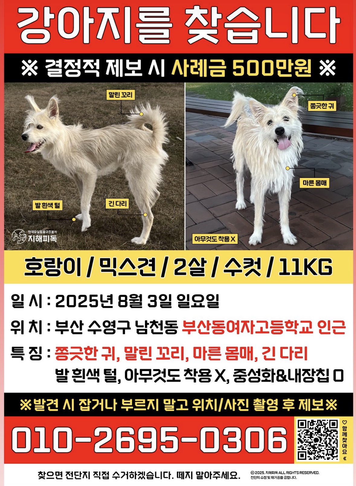실종동물1