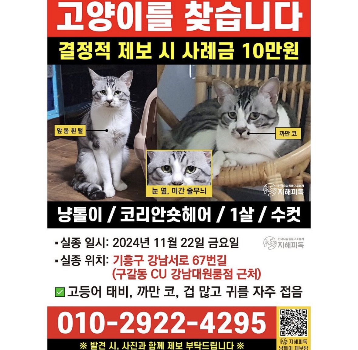 실종동물2