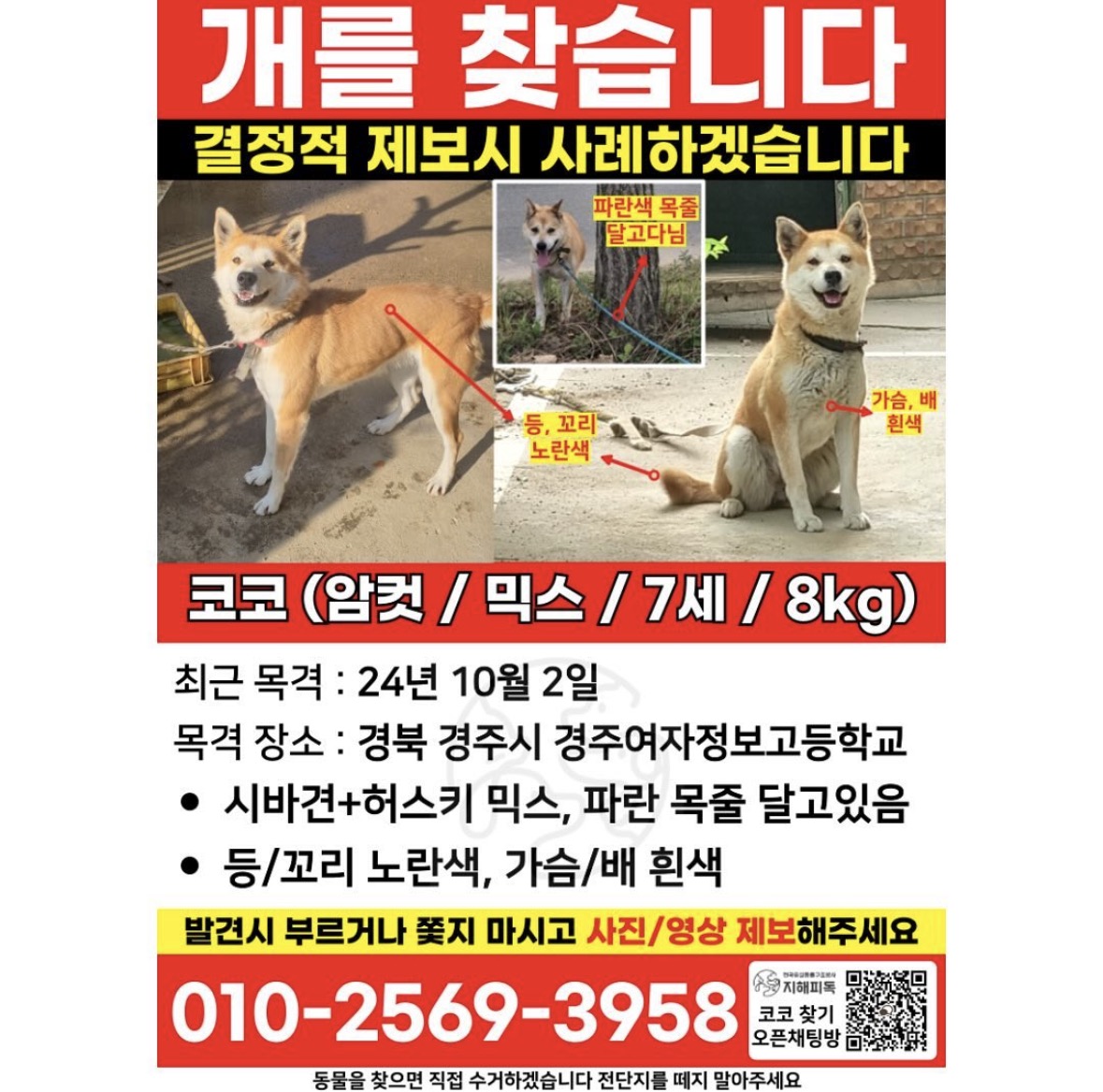 실종동물3