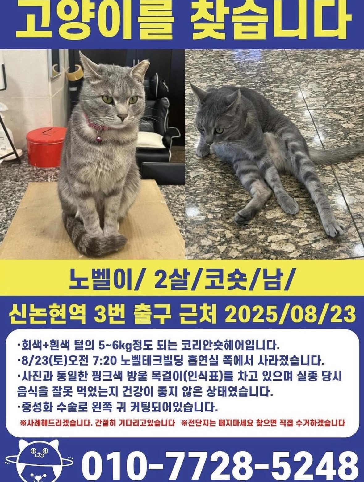 실종동물4
