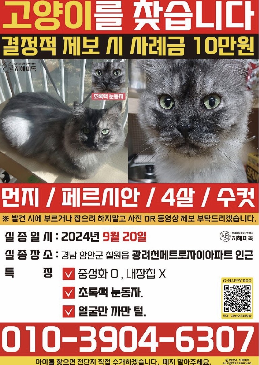 실종동물5